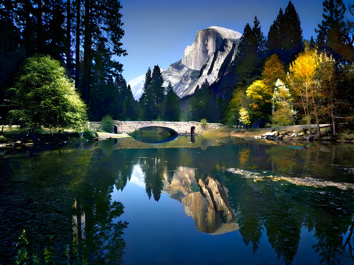 Vintage Black & White Landscape & Nature Photo Restoration 4K Restored