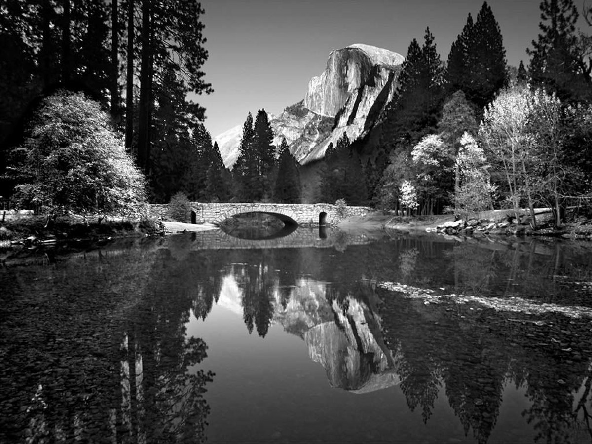Vintage Black & White Landscape & Nature Photo Restoration Original Degraded Scan